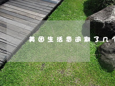 美团生活费逾期了几个月 美团生活费逾期了几个月