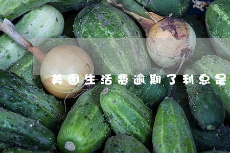 美团生活费逾期了利息是多少 美团生活费逾期了利息是多少
