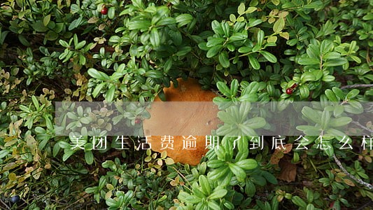 美团生活费逾期了到底会怎么样 美团生活费逾期了到底会怎么样