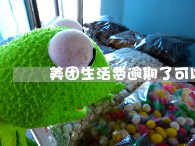 美团生活费逾期了可以吗 美团生活费逾期了可以吗