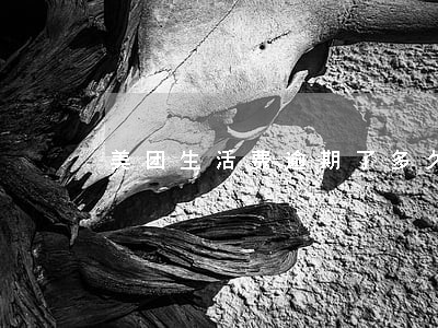 美团生活费逾期了多久能再借出来 美团生活费逾期了多久能再借出来