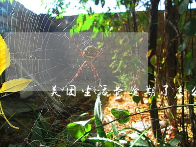 美团生活费逾期了怎么协商 美团生活费逾期了怎么协商