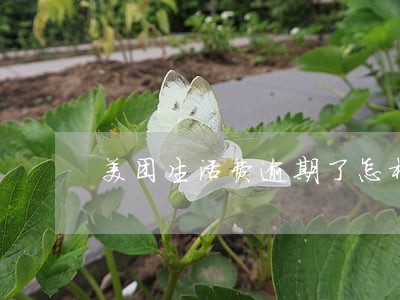 美团生活费逾期了怎样协商处理 美团生活费逾期了怎样协商处理