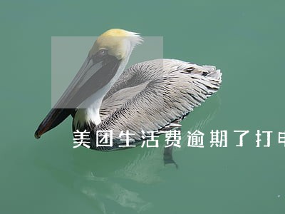 美团生活费逾期了打电话催怎么办 美团生活费逾期了打电话催怎么办