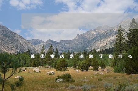 美团生活费逾期了有什么影响 美团生活费逾期了有什么影响