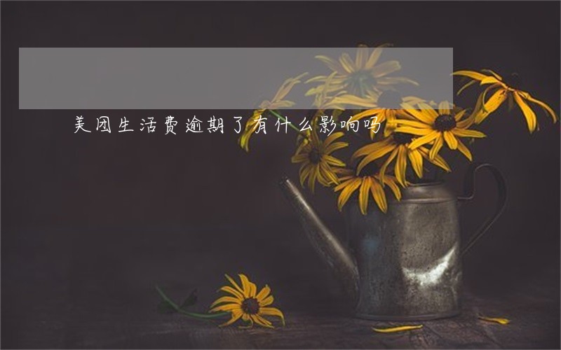 美团生活费逾期了有什么影响吗 美团生活费逾期了有什么影响吗