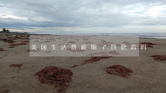 美团生活费逾期了罚息高吗 美团生活费逾期了罚息高吗