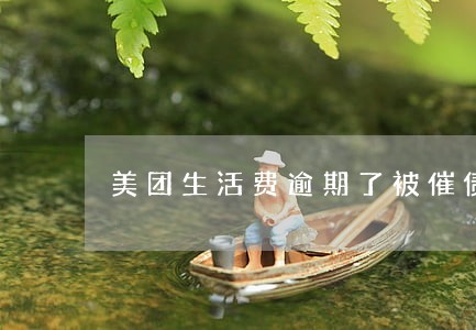美团生活费逾期了被催债怎么办 美团生活费逾期了被催债怎么办