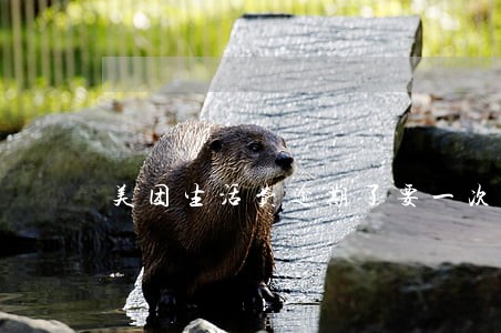 美团生活费逾期了要一次还清 美团生活费逾期了要一次还清