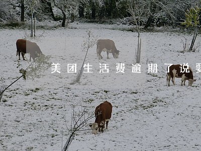 美团生活费逾期了说要开庭 美团生活费逾期了说要开庭
