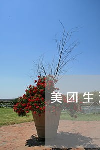 美团生活费逾期了说让我查收传票 美团生活费逾期了说让我查收传票