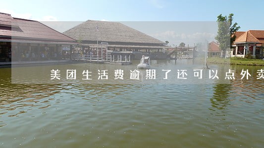 美团生活费逾期了还可以点外卖吗 美团生活费逾期了还可以点外卖吗