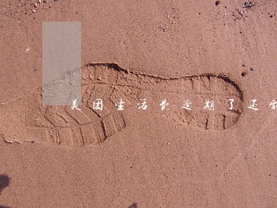 美团生活费逾期了还能办信用卡吗 美团生活费逾期了还能办信用卡吗