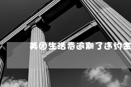 美团生活费逾期了违约金是多少钱 美团生活费逾期了违约金是多少钱