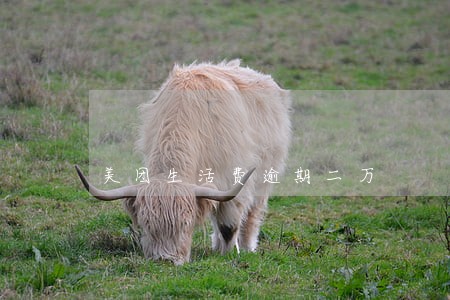 美团生活费逾期二万 美团生活费逾期二万