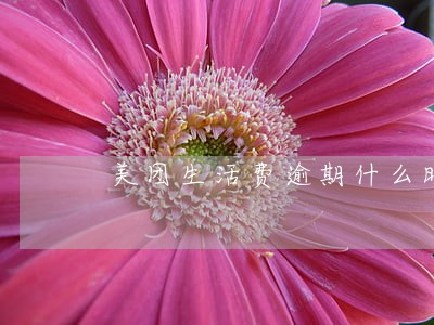 美团生活费逾期什么时候冻结账户