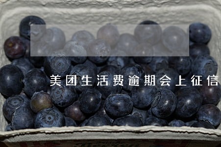 美团生活费逾期会上征信吗 美团生活费逾期会上征信吗