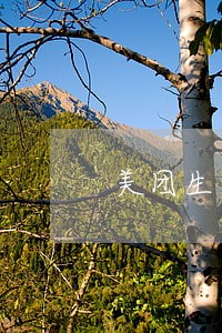 美团生活费逾期会上门么 美团生活费逾期会上门么