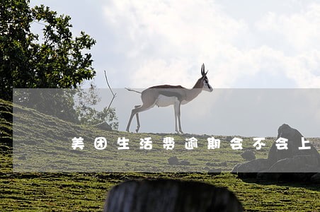 美团生活费逾期会不会上征信 美团生活费逾期会不会上征信