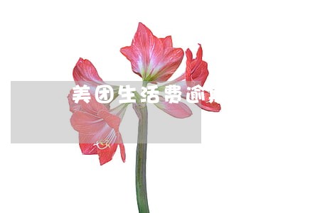 美团生活费逾期会不会全额还款 美团生活费逾期会不会全额还款