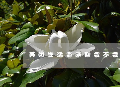 美团生活费逾期会不会取消分期 美团生活费逾期会不会取消分期