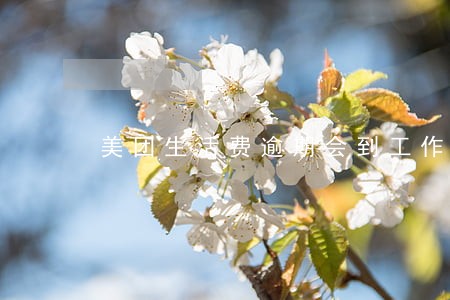 美团生活费逾期会到工作单位么 美团生活费逾期会到工作单位么