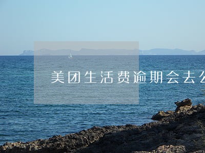 美团生活费逾期会去公司吗 美团生活费逾期会去公司吗