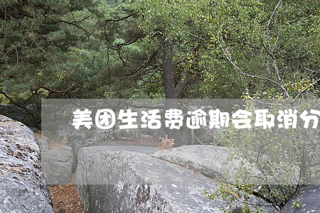 美团生活费逾期会取消分期 美团生活费逾期会取消分期