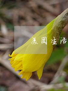 美团生活费逾期会坐牢么