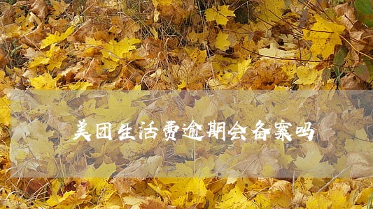 美团生活费逾期会备案吗 美团生活费逾期会备案吗