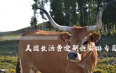 美团生活费逾期会安排专员上门吗 美团生活费逾期会安排专员上门吗