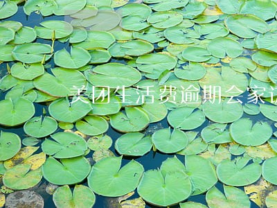 美团生活费逾期会家访上门吗 美团生活费逾期会家访上门吗