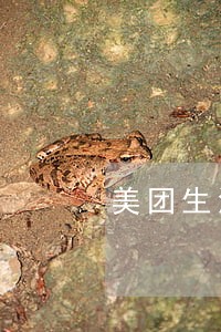 美团生活费逾期会影响下一代吗