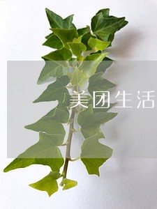 美团生活费逾期会怎么办 美团生活费逾期会怎么办
