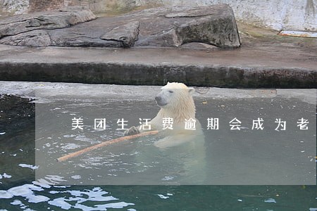 美团生活费逾期会成为老赖吗 美团生活费逾期会成为老赖吗