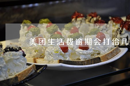 美团生活费逾期会打给几个联系人