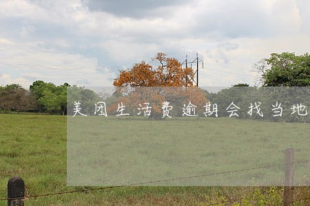 美团生活费逾期会找当地村委会吗