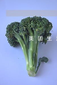 美团生活费逾期会进入失信名单吗 美团生活费逾期会进入失信名单吗