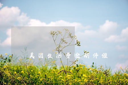 美团生活费逾期停催 美团生活费逾期停催