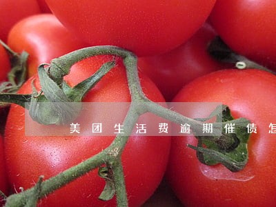 美团生活费逾期催债怎么投诉 美团生活费逾期催债怎么投诉