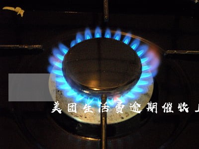 美团生活费逾期催收上门 美团生活费逾期催收上门
