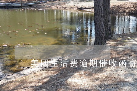 美团生活费逾期催收函寄到老家 美团生活费逾期催收函寄到老家
