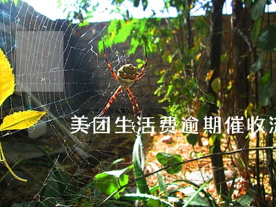 美团生活费逾期催收流程 美团生活费逾期催收流程