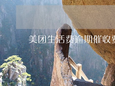 美团生活费逾期催收要管吗 美团生活费逾期催收要管吗