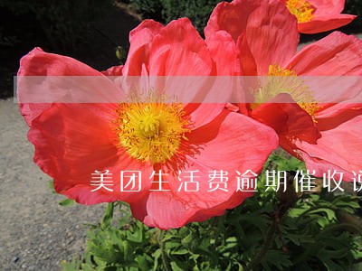 美团生活费逾期催收说要立案 美团生活费逾期催收说要立案
