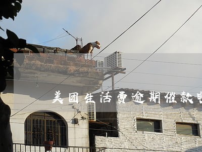 美团生活费逾期催款电话 美团生活费逾期催款电话