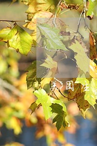 美团生活费逾期催缴信函 美团生活费逾期催缴信函