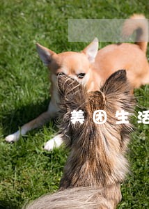 美团生活费逾期全额结清 美团生活费逾期全额结清