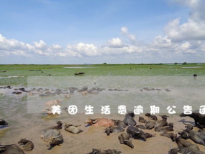 美团生活费逾期公告函 美团生活费逾期公告函