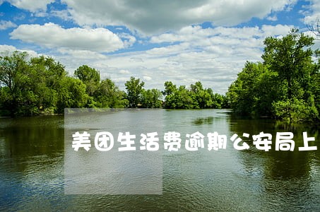 美团生活费逾期公安局上门 美团生活费逾期公安局上门